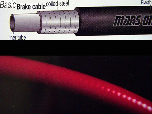 1260865776_photo3.jpg
