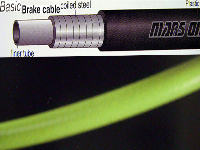 1260867074_photo1.jpg