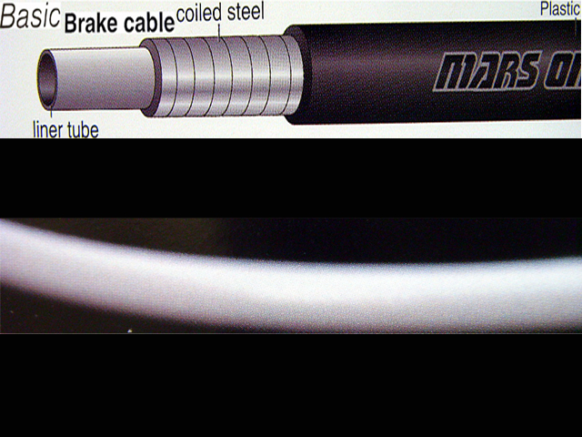 1260867074_photo2.jpg