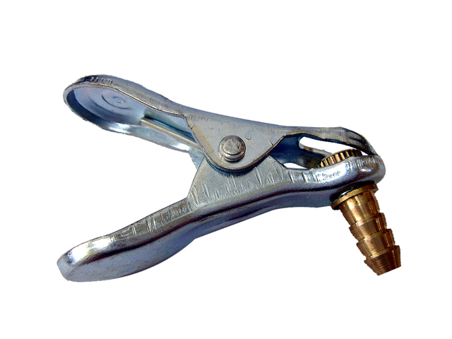 LImg_1264651205.jpg