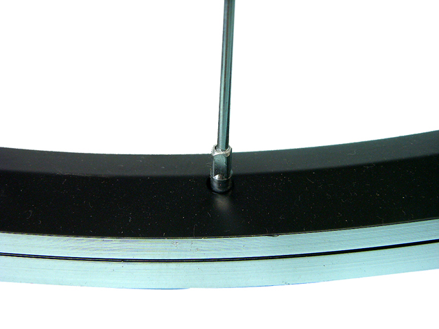 LImg_1264684430.jpg