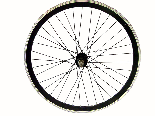 LImg_1264684719.jpg