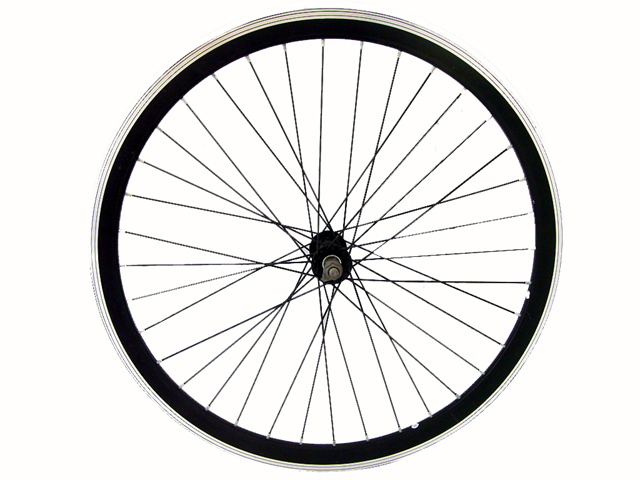 LImg_1264684953.jpg