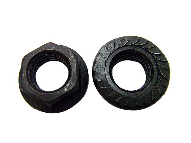 LImg_1264746638.jpg