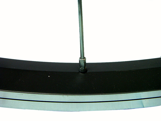 LImg_1265074486.jpg