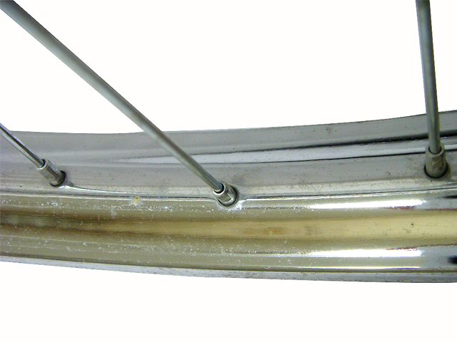 LImg_1319533116.jpg