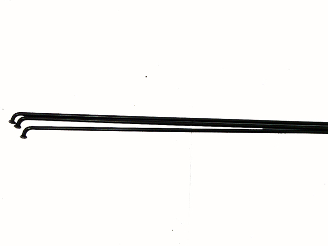 LImg_1319639322.jpg