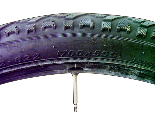 LImg_1359448625.jpg