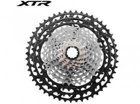 후일(12단 시마노XTR, CS-M9100, 10-45/51T)