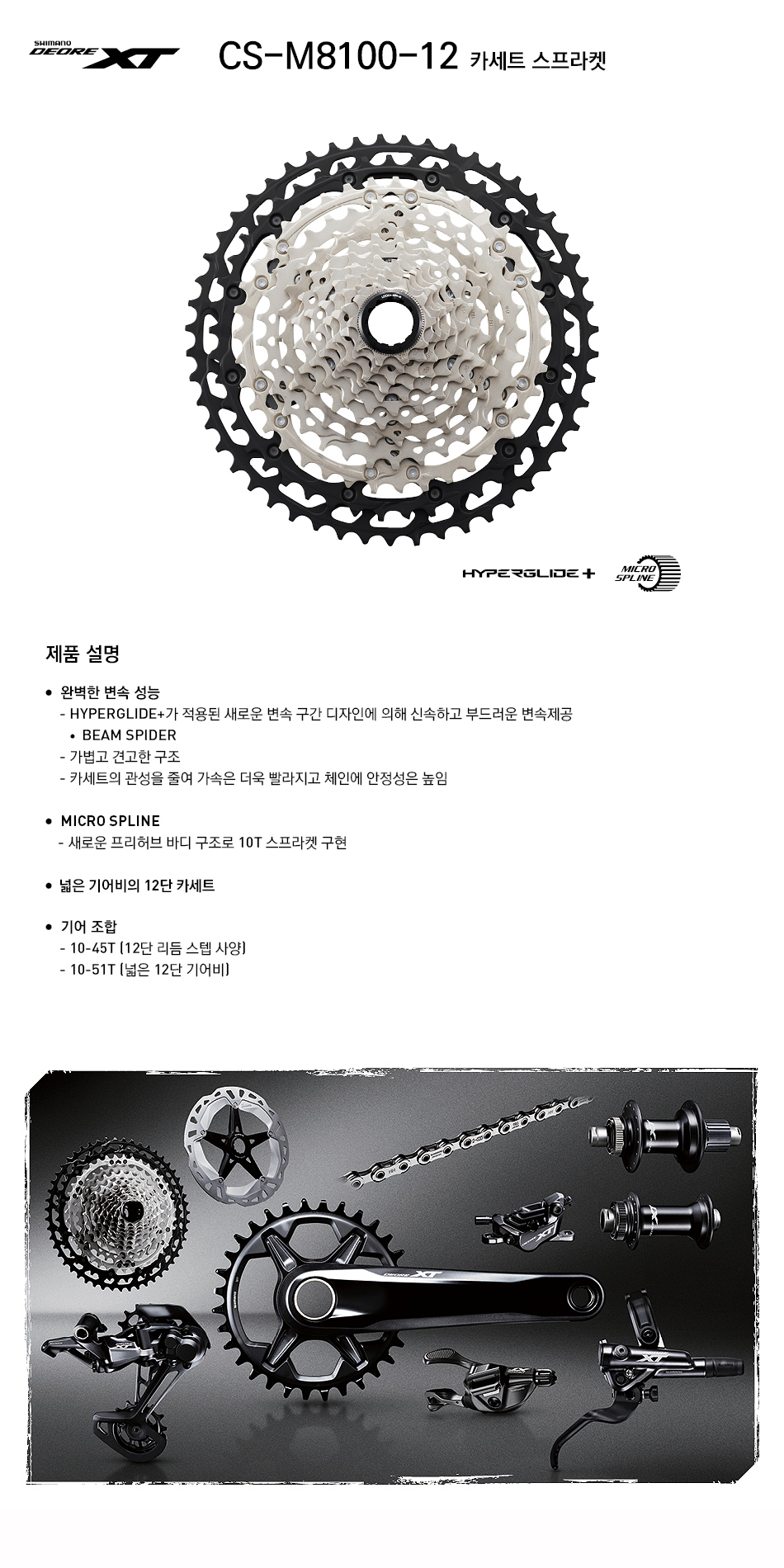 후일(12단 시마노XT, CS-M8100, 10-45T/10-51T)